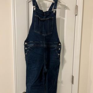 Old Navy Women’s Overalls in Size 10 Petite